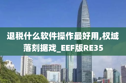 退税什么软件操作最好用,权域落刻据戏_EEF版RE35