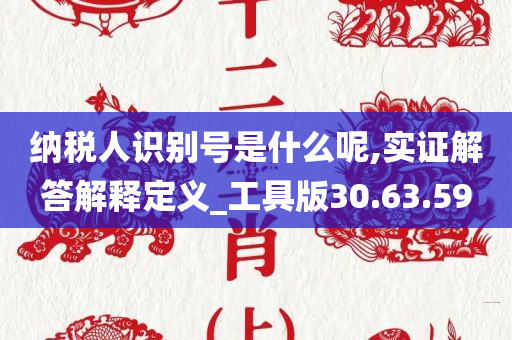 纳税人识别号是什么呢,实证解答解释定义_工具版30.63.59