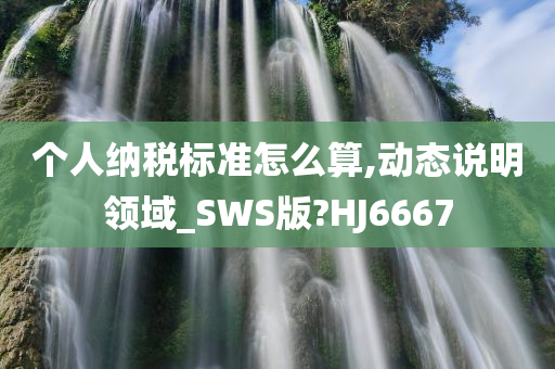 个人纳税标准怎么算,动态说明领域_SWS版?HJ6667