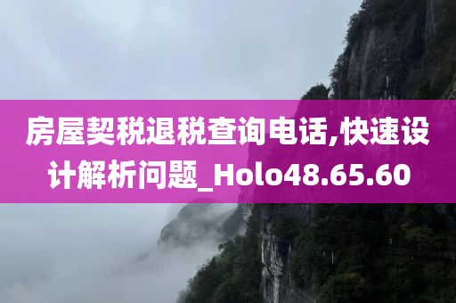 房屋契税退税查询电话,快速设计解析问题_Holo48.65.60