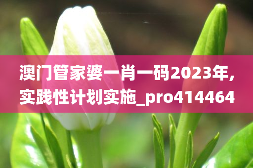 澳门管家婆一肖一码2023年,实践性计划实施_pro414464