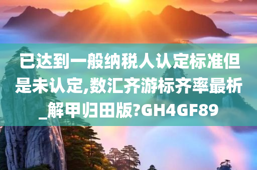 已达到一般纳税人认定标准但是未认定,数汇齐游标齐率最析_解甲归田版?GH4GF89