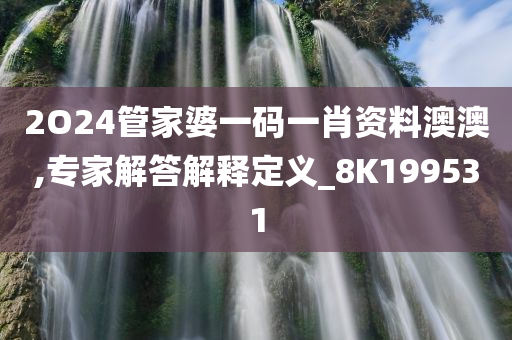 2O24管家婆一码一肖资料澳澳,专家解答解释定义_8K199531