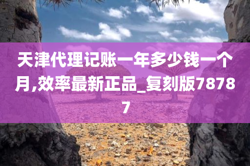 天津代理记账一年多少钱一个月,效率最新正品_复刻版78787