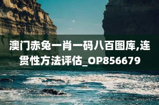 澳门赤兔一肖一码八百图库,连贯性方法评估_OP856679