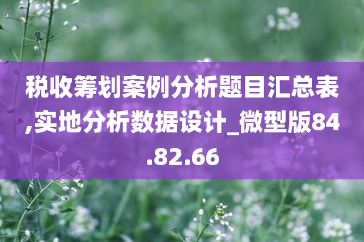 税收筹划案例分析题目汇总表,实地分析数据设计_微型版84.82.66