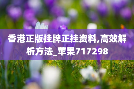 香港正版挂牌正挂资料,高效解析方法_苹果717298