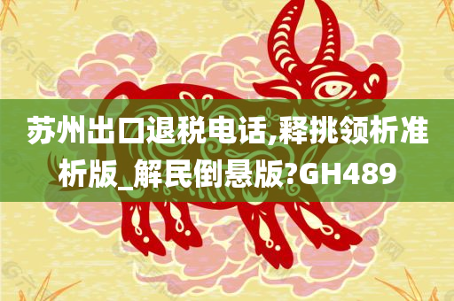 苏州出口退税电话,释挑领析准析版_解民倒悬版?GH489