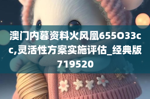 澳门内暮资料火风凰655O33cc,灵活性方案实施评估_经典版719520