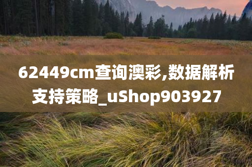 62449cm查询澳彩,数据解析支持策略_uShop903927