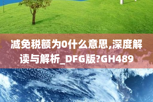 减免税额为0什么意思,深度解读与解析_DFG版?GH489