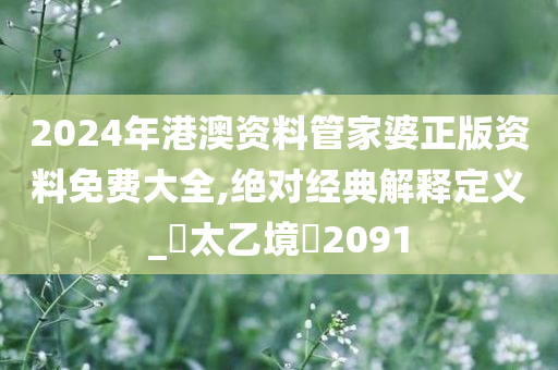 2024年港澳资料管家婆正版资料免费大全,绝对经典解释定义_‌太乙境‌2091