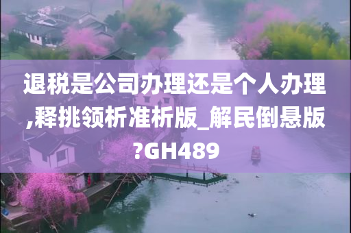 退税是公司办理还是个人办理,释挑领析准析版_解民倒悬版?GH489