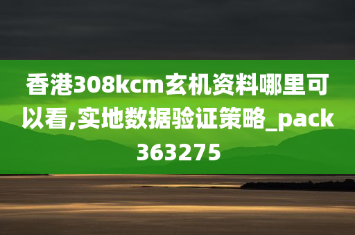 香港308kcm玄机资料哪里可以看,实地数据验证策略_pack363275