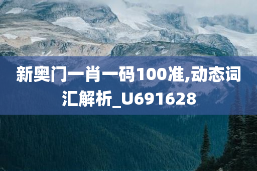 新奥门一肖一码100准,动态词汇解析_U691628