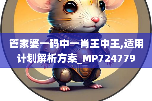 管家婆一码中一肖王中王,适用计划解析方案_MP724779