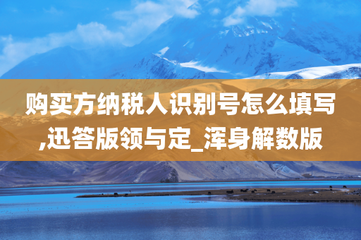 购买方纳税人识别号怎么填写,迅答版领与定_浑身解数版