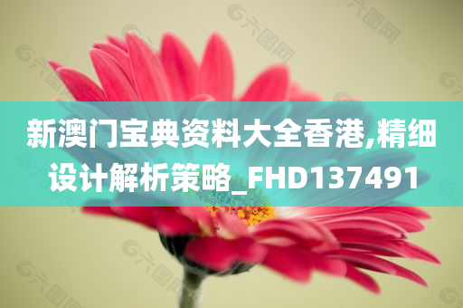 新澳门宝典资料大全香港,精细设计解析策略_FHD137491