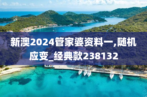 新澳2024管家婆资料一,随机应变_经典款238132