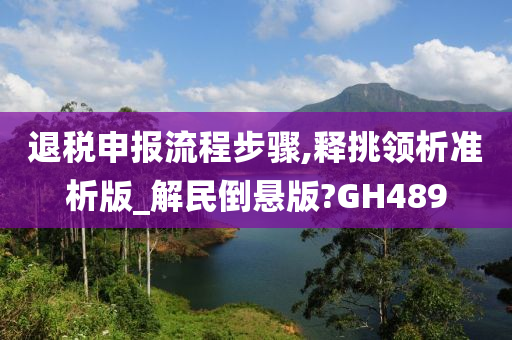 退税申报流程步骤,释挑领析准析版_解民倒悬版?GH489