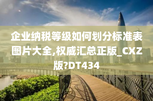 企业纳税等级如何划分标准表图片大全,权威汇总正版_CXZ版?DT434