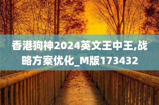 香港狗神2024英文王中王,战略方案优化_M版173432