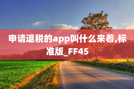 申请退税的app叫什么来着,标准版_FF45