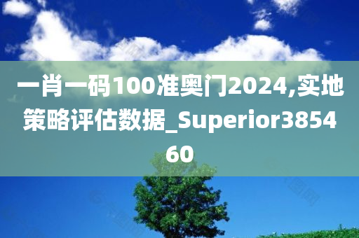 一肖一码100准奥门2024,实地策略评估数据_Superior385460