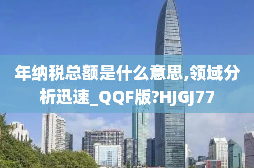 年纳税总额是什么意思,领域分析迅速_QQF版?HJGJ77