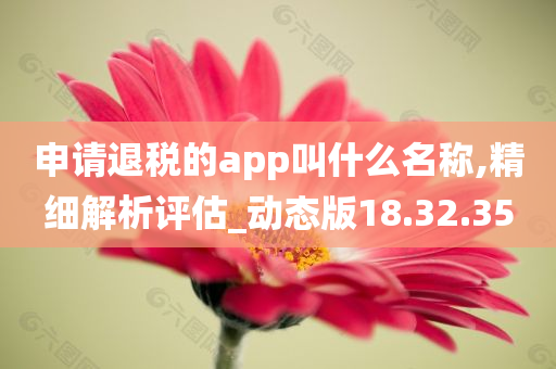 申请退税的app叫什么名称,精细解析评估_动态版18.32.35