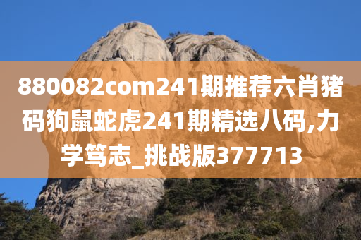 880082com241期推荐六肖猪码狗鼠蛇虎241期精选八码,力学笃志_挑战版377713