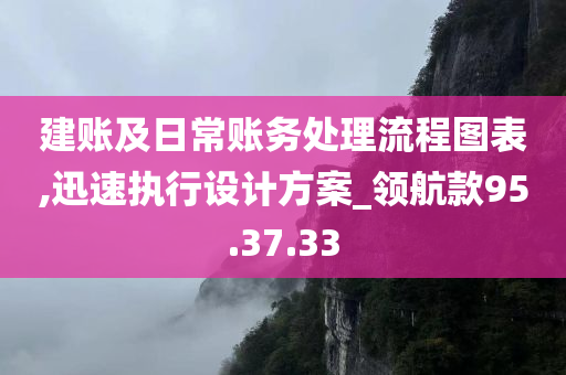 建账及日常账务处理流程图表,迅速执行设计方案_领航款95.37.33