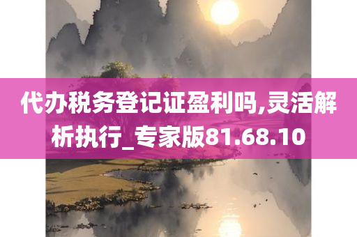 代办税务登记证盈利吗,灵活解析执行_专家版81.68.10