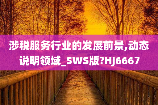 涉税服务行业的发展前景,动态说明领域_SWS版?HJ6667