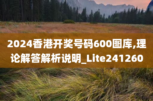 2024香港开奖号码600图库,理论解答解析说明_Lite241260