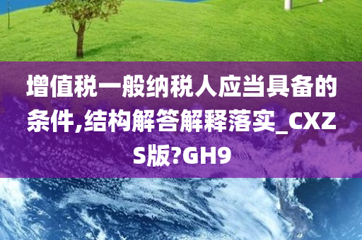 增值税一般纳税人应当具备的条件,结构解答解释落实_CXZS版?GH9