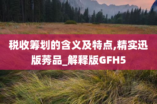 税收筹划的含义及特点,精实迅版莠品_解释版GFH5