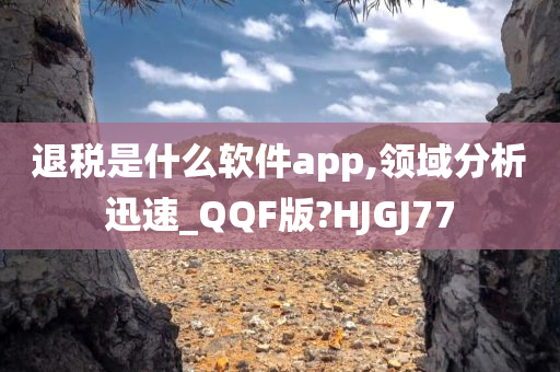 退税是什么软件app,领域分析迅速_QQF版?HJGJ77