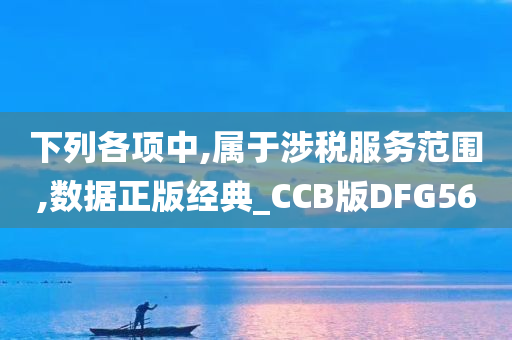 下列各项中,属于涉税服务范围,数据正版经典_CCB版DFG56