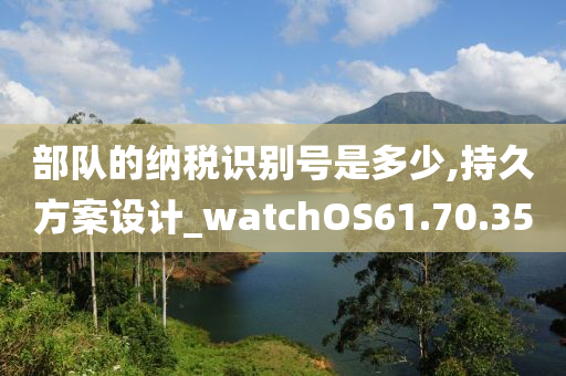 部队的纳税识别号是多少,持久方案设计_watchOS61.70.35