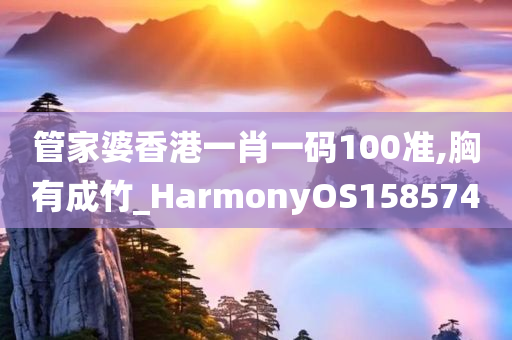 管家婆香港一肖一码100准,胸有成竹_HarmonyOS158574