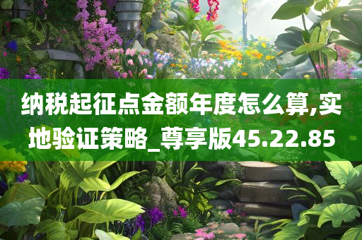 纳税起征点金额年度怎么算,实地验证策略_尊享版45.22.85