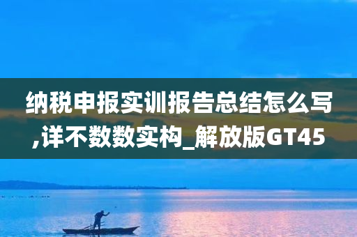 纳税申报实训报告总结怎么写,详不数数实构_解放版GT45