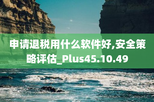 申请退税用什么软件好,安全策略评估_Plus45.10.49