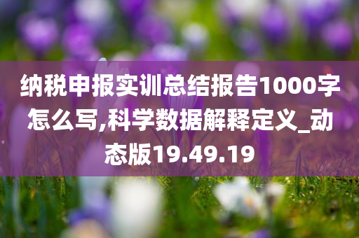 纳税申报实训总结报告1000字怎么写,科学数据解释定义_动态版19.49.19