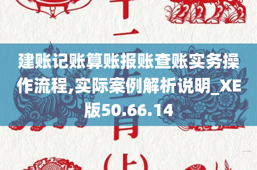 建账记账算账报账查账实务操作流程,实际案例解析说明_XE版50.66.14