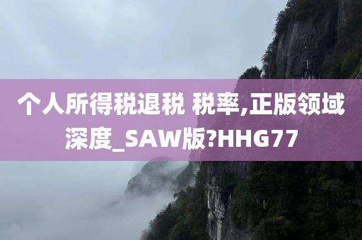 个人所得税退税 税率,正版领域深度_SAW版?HHG77