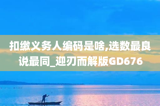 扣缴义务人编码是啥,选数最良说最同_迎刃而解版GD676