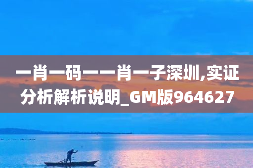 一肖一码一一肖一子深圳,实证分析解析说明_GM版964627