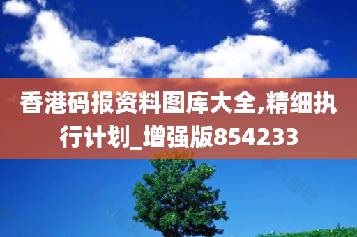 香港码报资料图库大全,精细执行计划_增强版854233